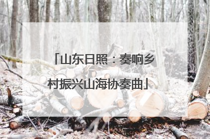 山东日照：奏响乡村振兴山海协奏曲