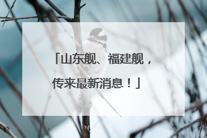 山东舰、福建舰，传来最新消息！