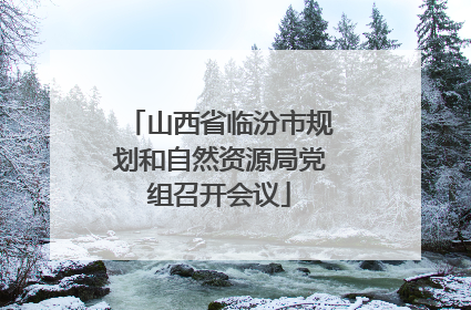 山西省临汾市规划和自然资源局党组召开会议