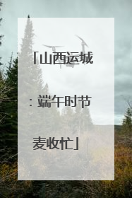 山西运城：端午时节麦收忙