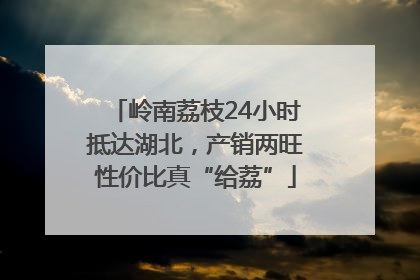 岭南荔枝24小时抵达湖北，产销两旺性价比真“给荔”