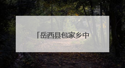 岳西县包家乡中心幼儿园成功举办县学前教育教研联系片第一片区第十三次专题研讨会