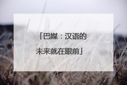 巴媒：汉语的未来就在眼前