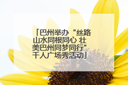 巴州举办“丝路山水同根同心 壮美巴州同梦同行”千人广场秀活动