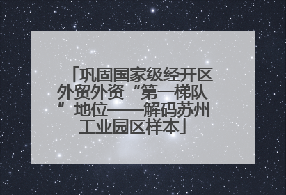 巩固国家级经开区外贸外资“第一梯队”地位——解码苏州工业园区样本