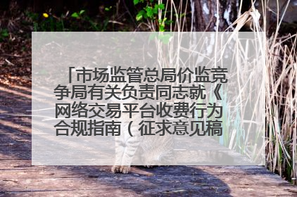 市场监管总局价监竞争局有关负责同志就《网络交易平台收费行为合规指南（征求意见稿）》答记者问