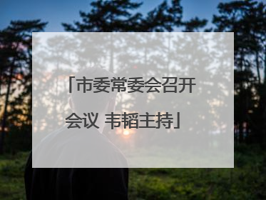 市委常委会召开会议 韦韬主持