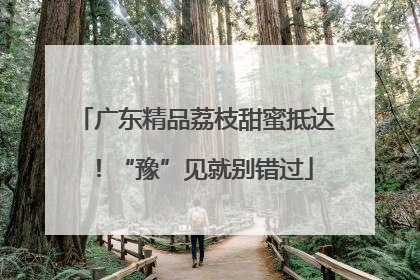 广东精品荔枝甜蜜抵达！“豫”见就别错过