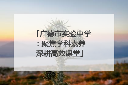 广德市实验中学：聚焦学科素养 深耕高效课堂
