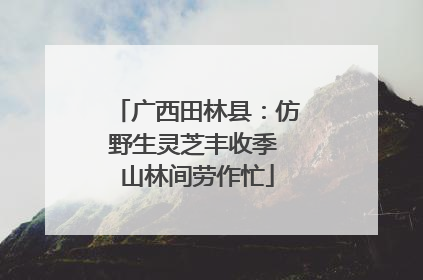 广西田林县：仿野生灵芝丰收季 山林间劳作忙