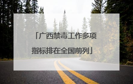 广西禁毒工作多项指标排在全国前列