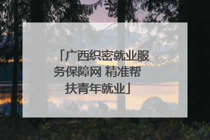 广西织密就业服务保障网 精准帮扶青年就业