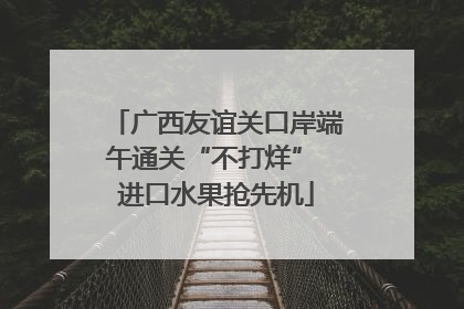 广西友谊关口岸端午通关“不打烊” 进口水果抢先机