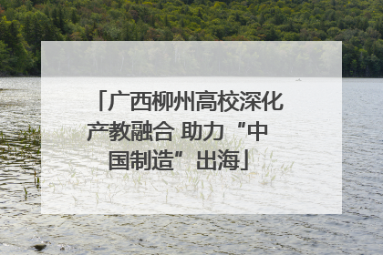 广西柳州高校深化产教融合 助力“中国制造”出海