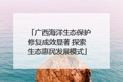 广西海洋生态保护修复成效显著 探索生态惠民发展模式
