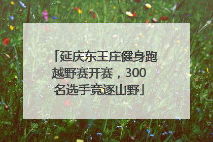 延庆东王庄健身跑越野赛开赛，300名选手竞逐山野