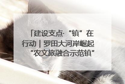 建设支点·“镇”在行动｜罗田大河岸崛起“农文旅融合示范镇”“服务县城卫星镇”