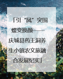 引“凤”突围 蝶变换颜——庆城县药王洞养生小镇农文旅融合发展纪实