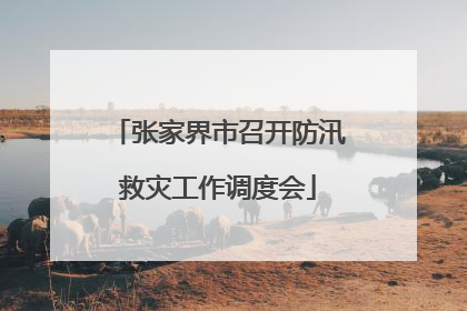 张家界市召开防汛救灾工作调度会