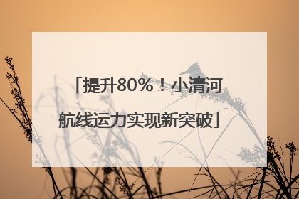 提升80％！小清河航线运力实现新突破