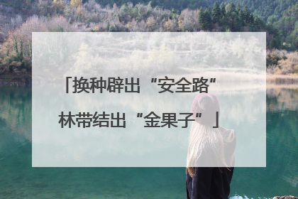 换种辟出“安全路” 林带结出“金果子”