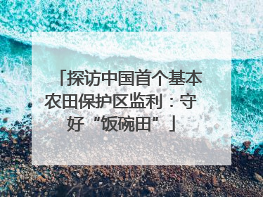 探访中国首个基本农田保护区监利：守好“饭碗田”