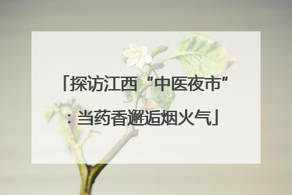 探访江西“中医夜市”：当药香邂逅烟火气