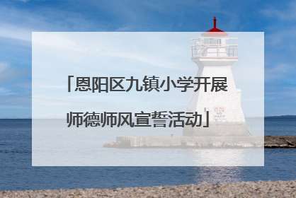 恩阳区九镇小学开展师德师风宣誓活动