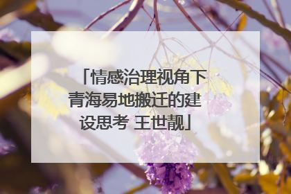 情感治理视角下青海易地搬迁的建设思考 王世靓