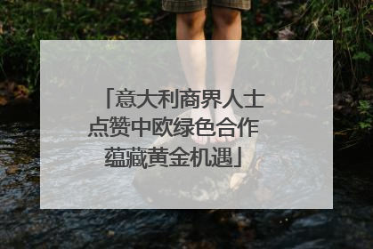 意大利商界人士点赞中欧绿色合作蕴藏黄金机遇
