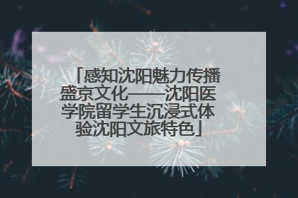 感知沈阳魅力传播盛京文化——沈阳医学院留学生沉浸式体验沈阳文旅特色