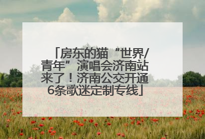 房东的猫“世界/青年”演唱会济南站来了！济南公交开通6条歌迷定制专线