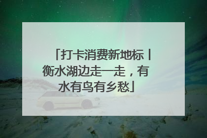打卡消费新地标丨衡水湖边走一走，有水有鸟有乡愁