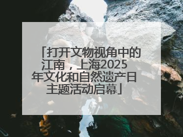 打开文物视角中的江南，上海2025年文化和自然遗产日主题活动启幕