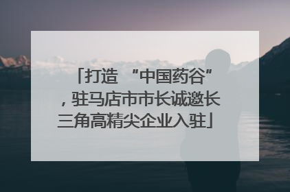 打造 “中国药谷”，驻马店市市长诚邀长三角高精尖企业入驻