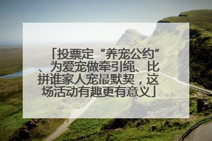 投票定“养宠公约”、为爱宠做牵引绳、比拼谁家人宠最默契，这场活动有趣更有意义