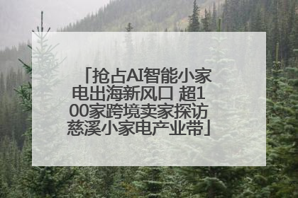 抢占AI智能小家电出海新风口 超100家跨境卖家探访慈溪小家电产业带
