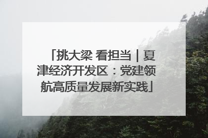 挑大梁 看担当｜夏津经济开发区：党建领航高质量发展新实践