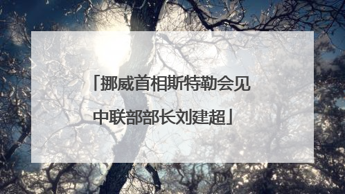 挪威首相斯特勒会见中联部部长刘建超