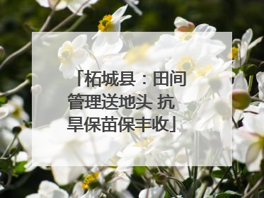 柘城县：田间管理送地头 抗旱保苗保丰收