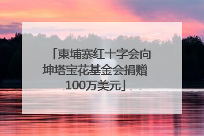 柬埔寨红十字会向坤塔宝花基金会捐赠100万美元
