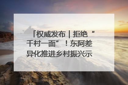 权威发布｜拒绝“千村一面”！东阿差异化推进乡村振兴示范片区建设