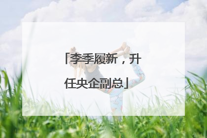 李季履新，升任央企副总