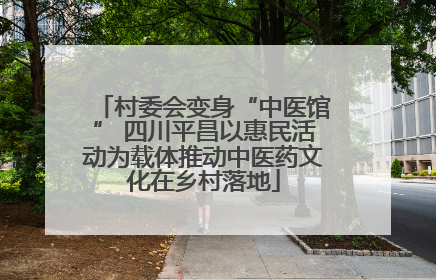 村委会变身“中医馆” 四川平昌以惠民活动为载体推动中医药文化在乡村落地