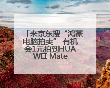 来京东搜“鸿蒙电脑拍卖” 有机会1元拍到HUAWEI MateBook Fold 非凡大师
