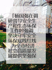 杨国强在调研督导安全生产和生态环保工作时强调 坚决守牢安全环保底线红线 为全市经济社会高质量发展提供坚强保障
