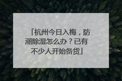 杭州今日入梅，防潮除湿怎么办？已有不少人开始备货