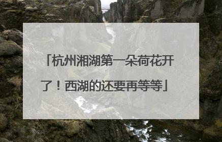 杭州湘湖第一朵荷花开了！西湖的还要再等等