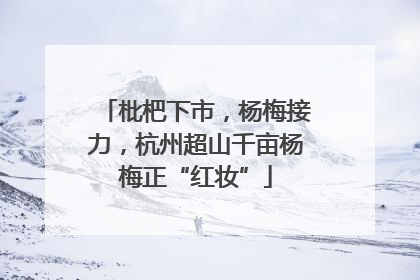 枇杷下市，杨梅接力，杭州超山千亩杨梅正“红妆”