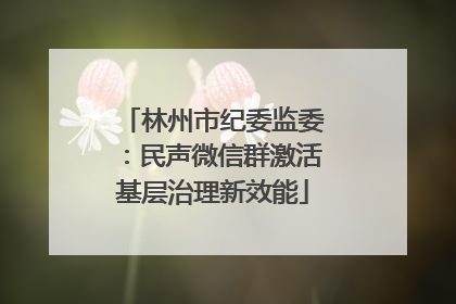 林州市纪委监委：民声微信群激活基层治理新效能